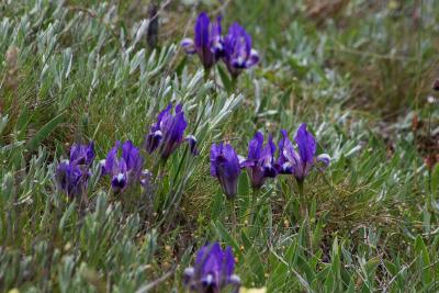 Прикрепленное изображение: IMG_4426.jpg